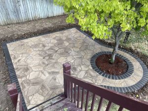 paved walkway area with tree