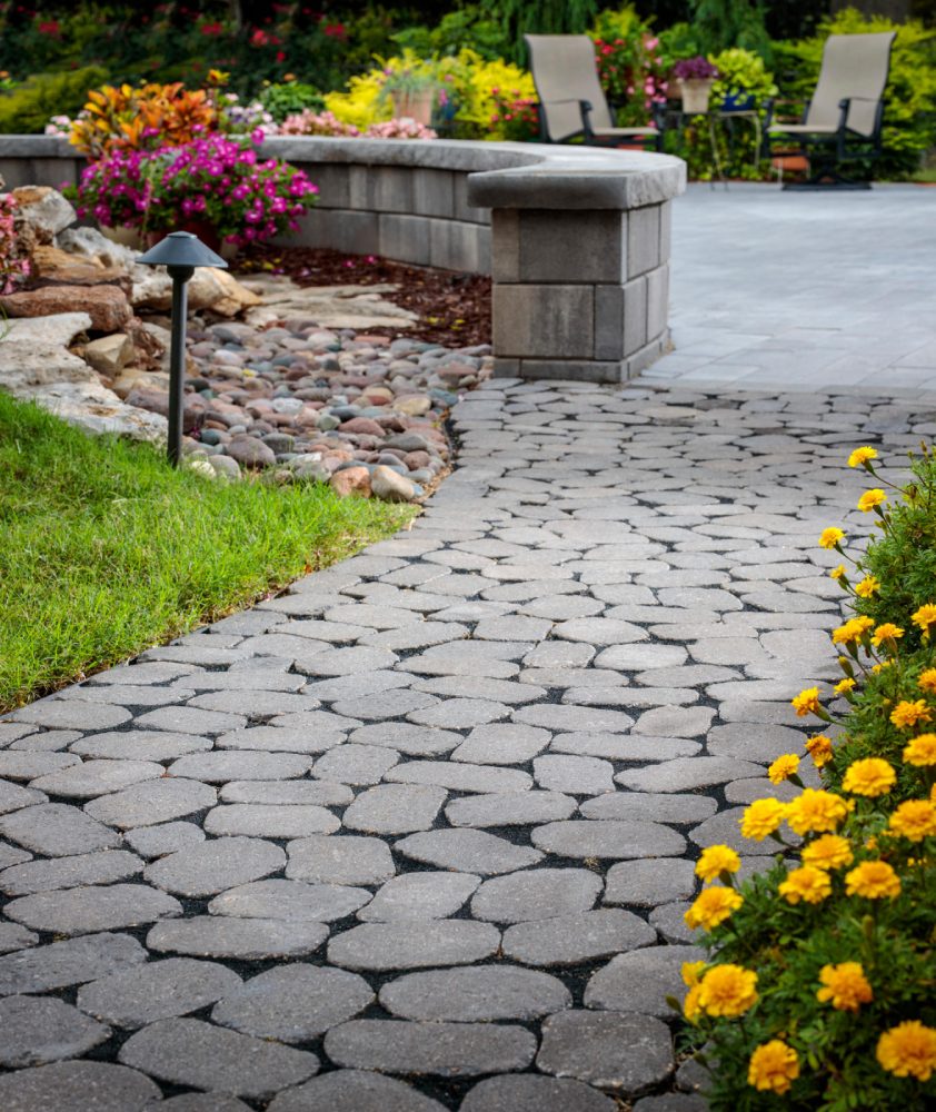 gray paved walkway with yellow flowers