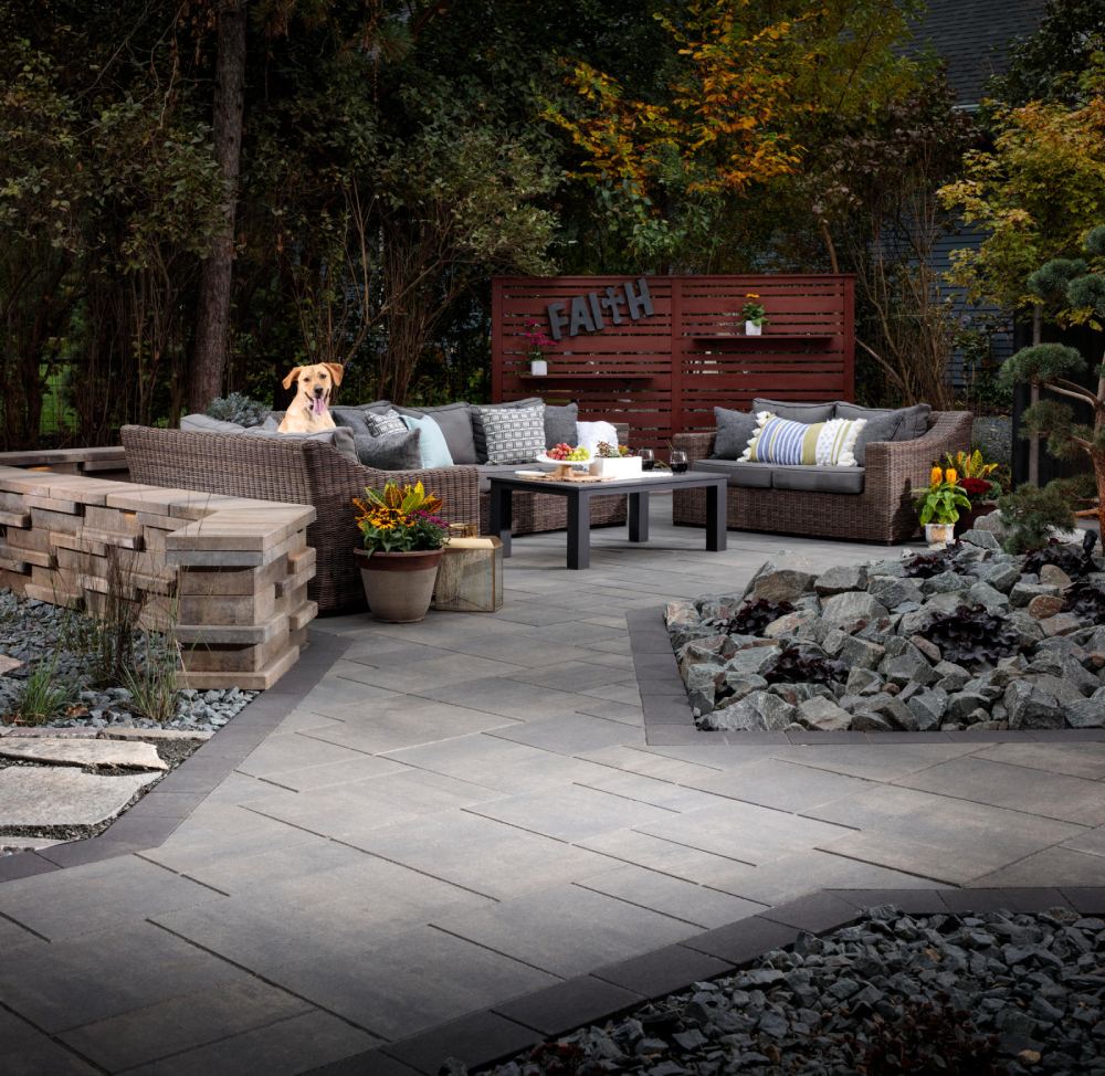 paved walkway with brown couch set and brown dog
